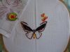 DSC04703.thumb.JPG.b8a331997db33843e5fb3150e3c525a5.JPG