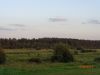 DSC09875.thumb.JPG.b12878e2aa5c9d4b66703b6261cc91d3.JPG