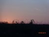DSC09901.thumb.JPG.59da332cc24121b081d1a23b98a46f05.JPG