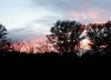DSCF0552.thumb.jpg.fbdc6168d7c2f8c751a7a27a61ecb5e0.jpg