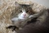 DSCN0315.thumb.jpg.c4b546dfbe14aeb3d5bf096e6026c9d4.jpg