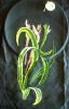DSCN0356.thumb.jpg.a67c2ea382a76b6d21f3d31fa175c6f9.jpg