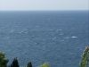 DSC_0068.thumb.JPG.daf7efe69d6f2c5d97ba5c2f95063902.JPG