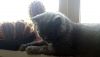 DSC_0577.thumb.JPG.6a1063c52a7917239c80e47d1092c38b.JPG