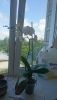 DSC_0671.thumb.JPG.d6cb1a98a9d943bff7d680c245b4a366.JPG