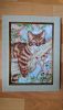 DSC_0684.thumb.JPG.783c87c6dcd4f62e125c21db966bd4da.JPG