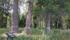 DSC_0687.thumb.JPG.e8e1df803e27d0c2f68de50a812bbb90.JPG