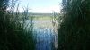 DSC_0701.thumb.JPG.f952a5d244f6e50732b6ff9dc6175857.JPG