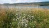 DSC_0717.thumb.JPG.b9e69f710f8a372d3b786c9bf23c4a36.JPG