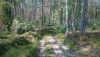 DSC_0718.thumb.JPG.f7c5bba4187cd186b03b941e5902f34f.JPG