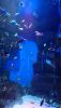 DSC_0720.thumb.JPG.235dcd5c4d0f459edede1a26ff18e363.JPG