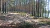 DSC_0720.thumb.JPG.5971f0b592ca9f71cf619a1674f7078b.JPG