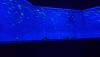DSC_0721.thumb.JPG.83f01249fd273ded4e2cee404f59479c.JPG
