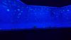 DSC_0722.thumb.JPG.3cfaa7d4659213fff8aee8047b87d5b1.JPG