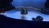 DSC_0738.thumb.JPG.028aaf3d42939b8839223760da67ab6a.JPG