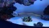DSC_0739.thumb.JPG.4724a2e60b43c30cf46157a2bd8812d7.JPG