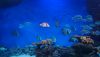 DSC_0745.thumb.JPG.d606872312ffbf4bc48f5dcc56fceb26.JPG
