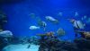 DSC_0747.thumb.JPG.b6e00b5b406fa6e04132973ac5fc2bc3.JPG