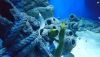 DSC_0749.thumb.JPG.fcaf023c574f475e4e2c5e3782894de2.JPG