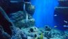 DSC_0750.thumb.JPG.ed7154d2fa5f7334e59bd33992e7ba4b.JPG