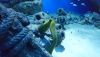 DSC_0751.thumb.JPG.c73d156a230eee4bb3a2739dceb82762.JPG
