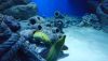 DSC_0752.thumb.JPG.396a143e0a758c6bbecc236f6b1c4e21.JPG