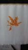 DSC_0757.thumb.JPG.d118f295feaa03ce4623efeee923aab7.JPG