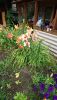 DSC_0759.thumb.JPG.7c31e6392dd7deaa4de4ca5e345dc765.JPG