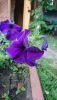 DSC_0765.thumb.JPG.1a136e6f898dfd132802b445bfeb6f58.JPG