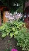 DSC_0766.thumb.JPG.2e54e16a9341b2595737ebd4c1fd13e5.JPG