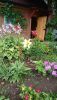 DSC_0767.thumb.JPG.0d9a814c6ea4aeffec9ed2c1e2b35074.JPG