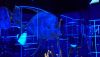 DSC_0767.thumb.JPG.550176d44190c8bef398a21a075adcba.JPG