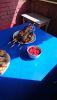 DSC_0769.thumb.JPG.d9e3e8855afee4b5d23b4234d9115b50.JPG
