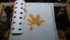 DSC_0774.thumb.JPG.6ec7d115f548dc0a3af73448264840de.JPG