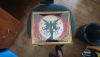 DSC_0775.thumb.JPG.5f0d3183a294b7e73e4c32b108e4880e.JPG