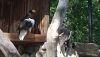 DSC_0779.thumb.JPG.42d76306526b23990b3e5c409496b069.JPG