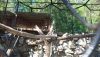 DSC_0781.thumb.JPG.786674bf7a42f8631ee86762bdcdacf2.JPG