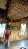 DSC_0783.thumb.JPG.c3b75bfc2f7e5eb7026615c2d1ffe9d0.JPG