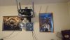 DSC_0784.thumb.JPG.e5cd3080177b7a5cbbc7f8659260de4a.JPG