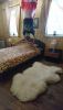 DSC_0786.thumb.JPG.0a692244043e1d75ec7e006a244ce24a.JPG