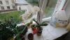 DSC_0789.thumb.JPG.0fe1496740ca71ec630f967bd511cbd9.JPG