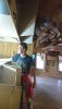 DSC_0789.thumb.JPG.31647e18ffd2cb7c9feb67b9f601f599.JPG