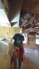 DSC_0790.thumb.JPG.aec8fa78d9e34626cc1dfa207910e7bc.JPG