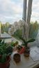 DSC_0791.thumb.JPG.1702e88c47b790eab9f86ccc25a620fa.JPG