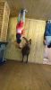 DSC_0794.thumb.JPG.6de44a554729db2494c639d55c43c94d.JPG