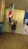 DSC_0795.thumb.JPG.2d21dfe26cb32e65f1ecc7df4a8c1eb9.JPG