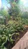 DSC_0831.thumb.JPG.c2717111c17432609824d278e8752325.JPG