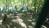 DSC_0835.thumb.JPG.40a64ef588a10a409a25b7a2add6ba87.JPG