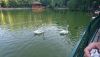 DSC_0843.thumb.JPG.bf397554600e9292e1f3d61f6fe6d88b.JPG