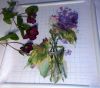 IMG_1928.thumb.JPG.47ab0318fcc4cc6cc84ef4c81094f5e1.JPG